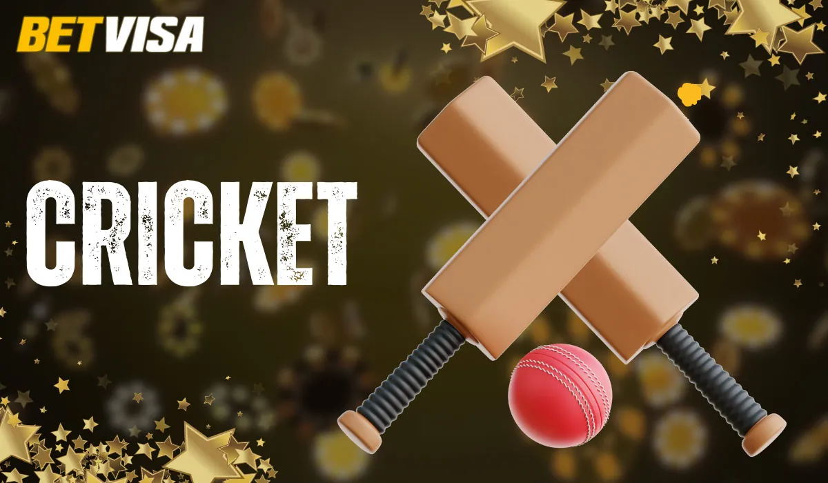 Place bets on cricket on the Betvisa website