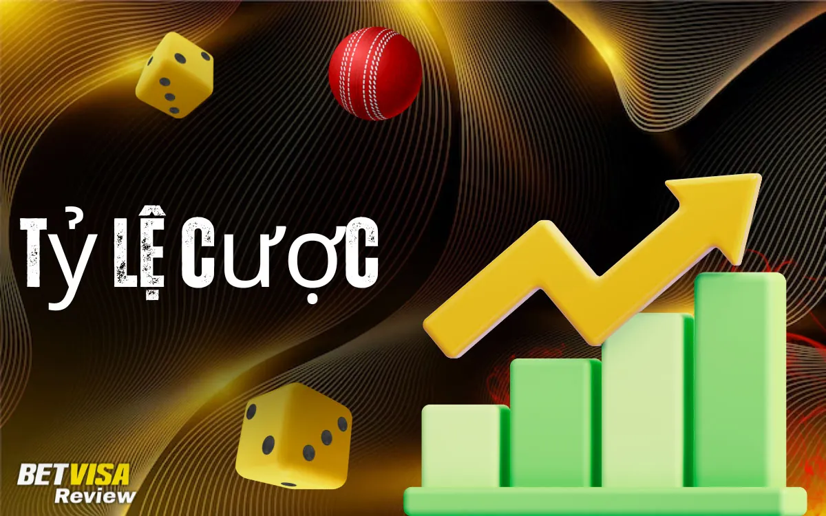 BetVisa Tìm hiểu về tỷ lệ cược Cricket