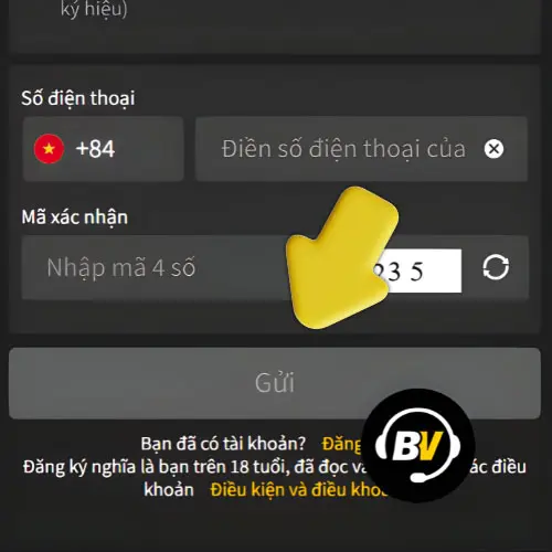 Chỉ dẫn Gửi biểu mẫu